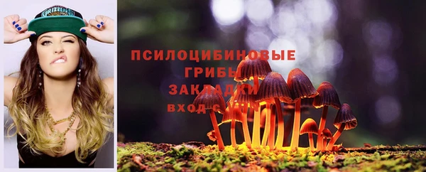 гидра Тайга