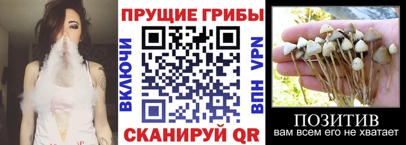 наркошоп  Давлеканово  mega   Галлюциногенные грибы ЛСД 